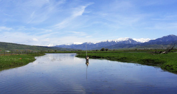 Hydrologist team taking measurements of spring creek near confluence with the Salt River.