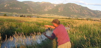 Fly Fishing Tin Cup Spring Creek